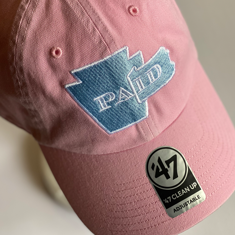 Arizona Diamondbacks '47 Brand Fan Favorite Clean Up Strapback Hat – The  Hat Store USA